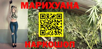 стафф Будённовск
