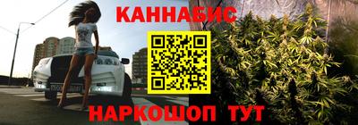 стафф Будённовск