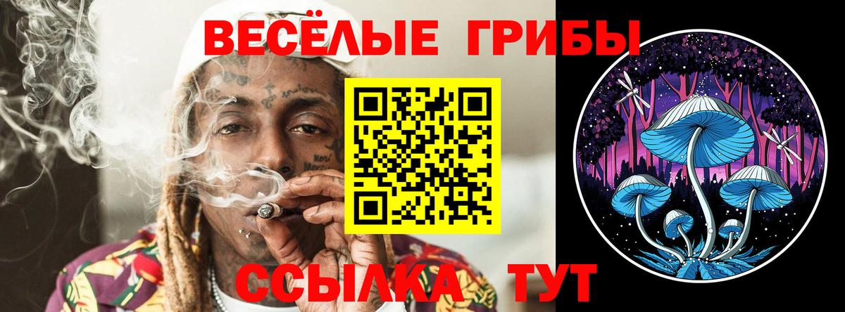 Галлюциногенные грибы MAGIC MUSHROOMS Королёв