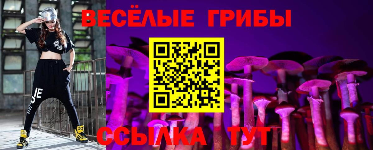 Псилоцибиновые грибы Psilocybine cubensis  Вход с VPN  Псилоцибиновые грибы Magic Shrooms  Королёв 